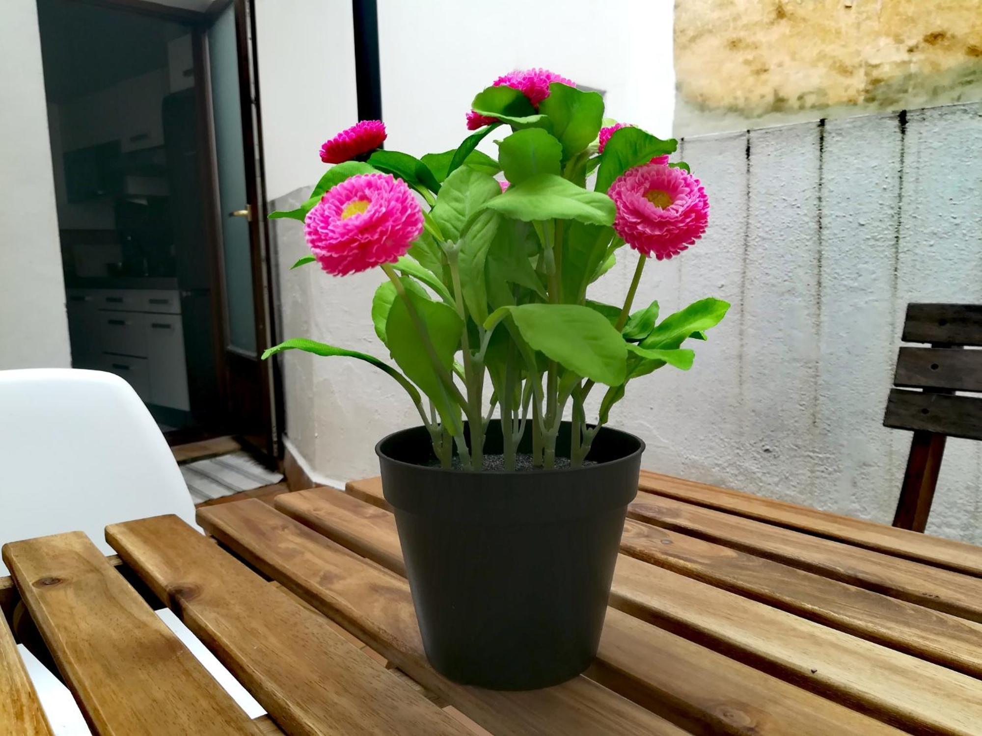 Appartement Oasis Galindo Nice Flat Séville